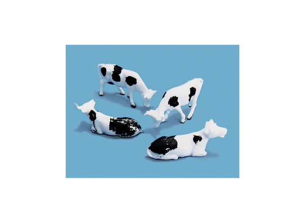 Cows