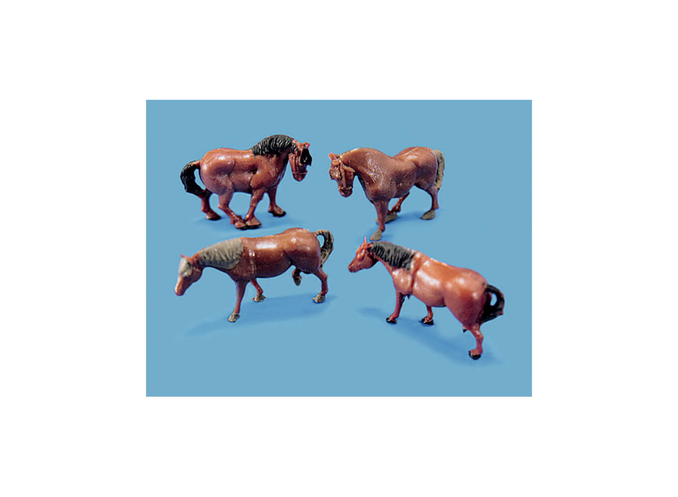 Pferde und Ponys