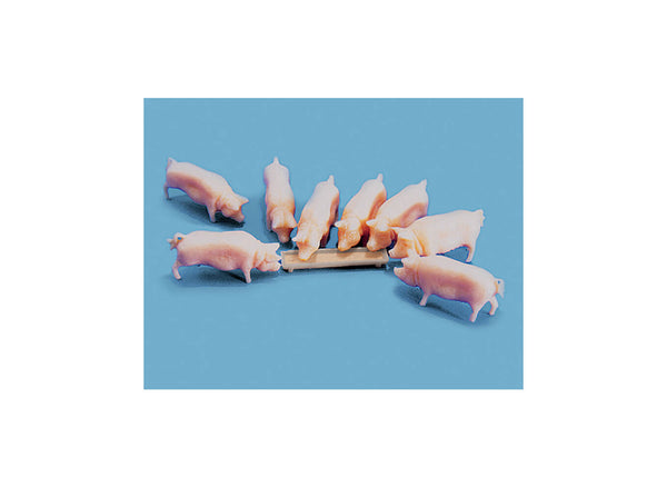 Pigs and Trough