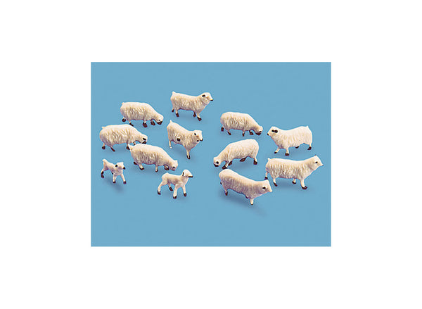 Sheep and Lambs