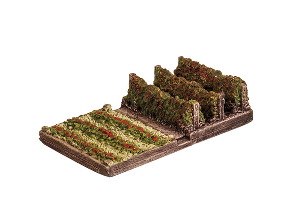 Soft Fruit Plot with Strawberries and Raspberries