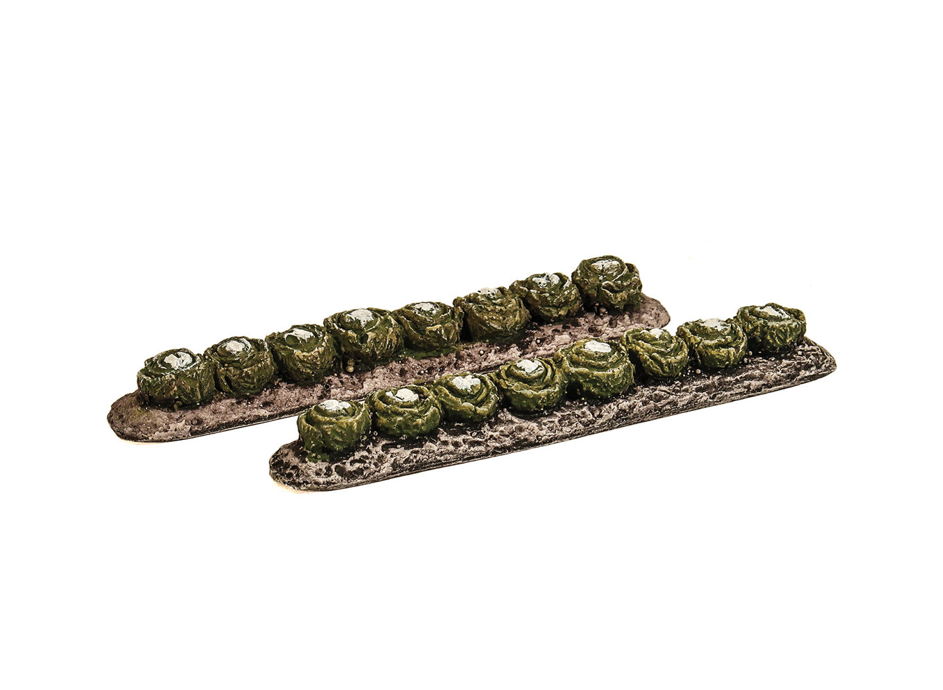 Vegetable Rows - Cauliflower