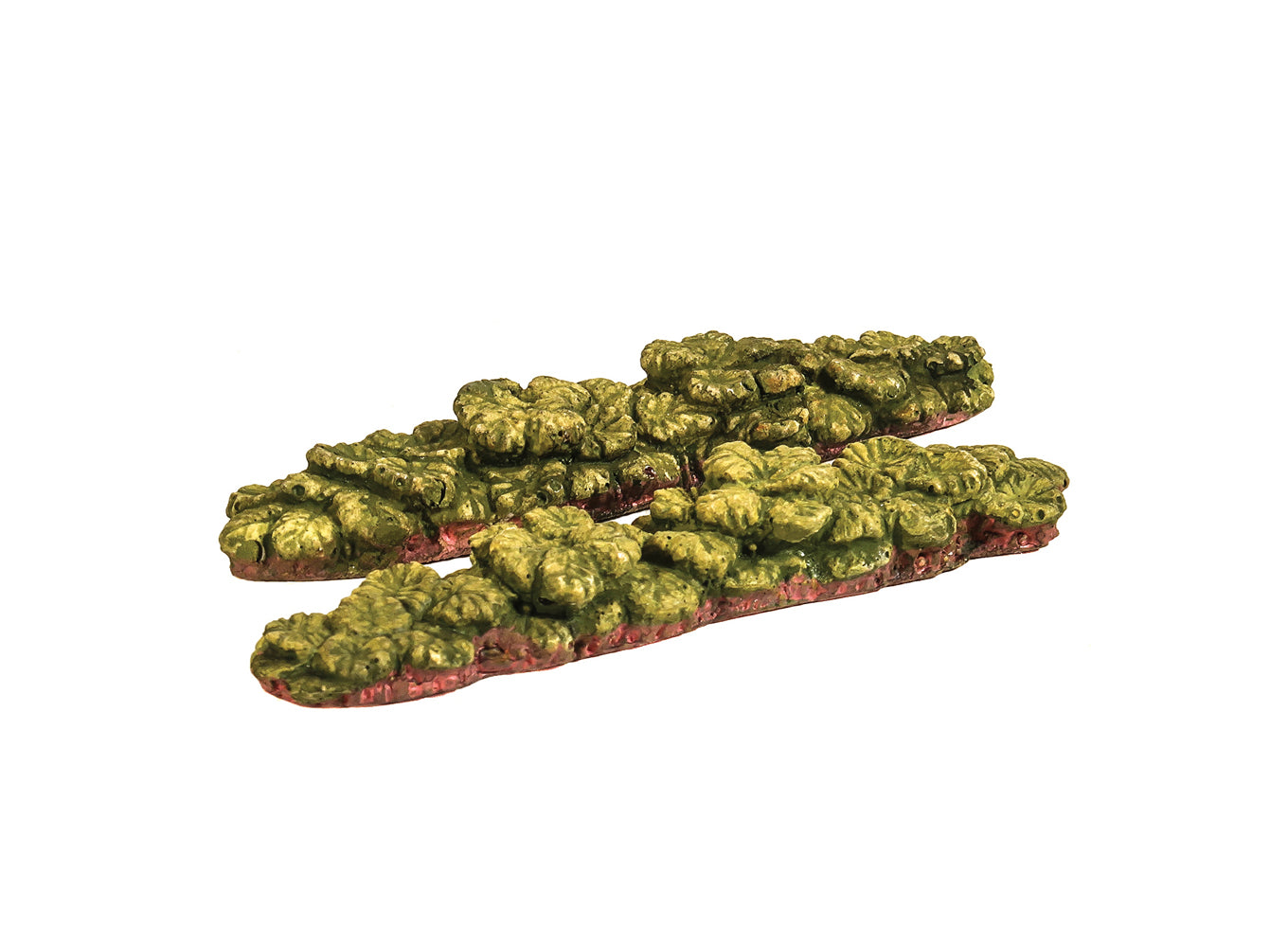 Gemüsereihen - Rhabarber