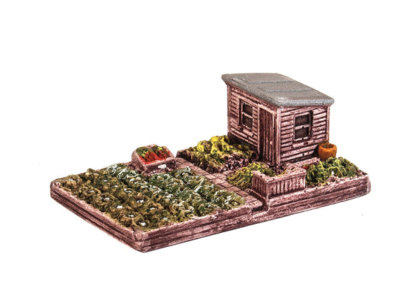 Allotment with Shed