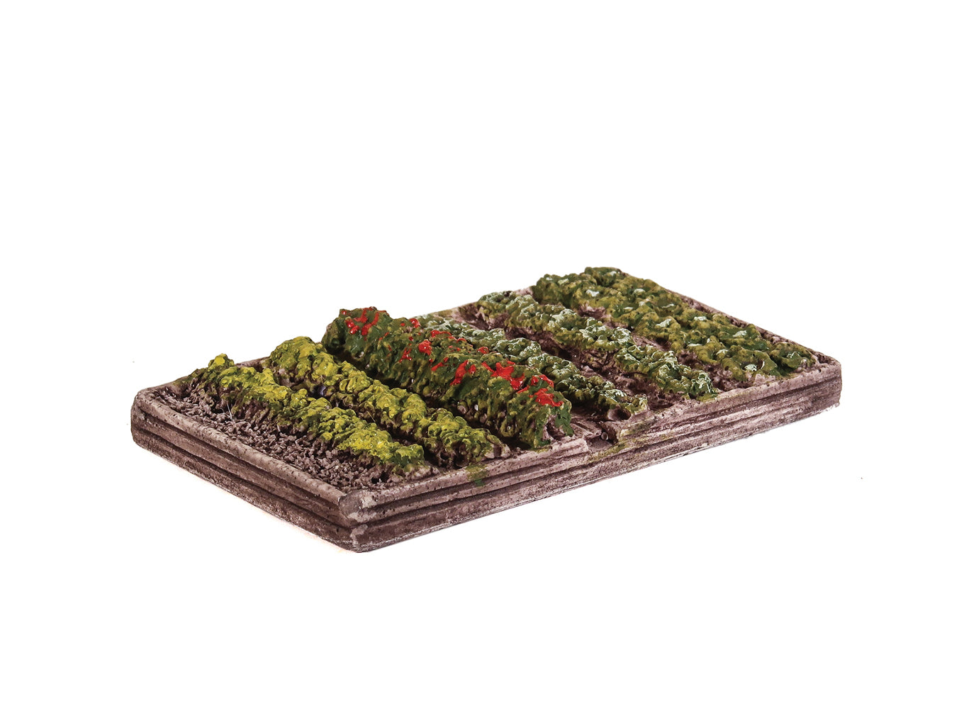 Gemüsebeet mit erhöhtem Holzrahmen