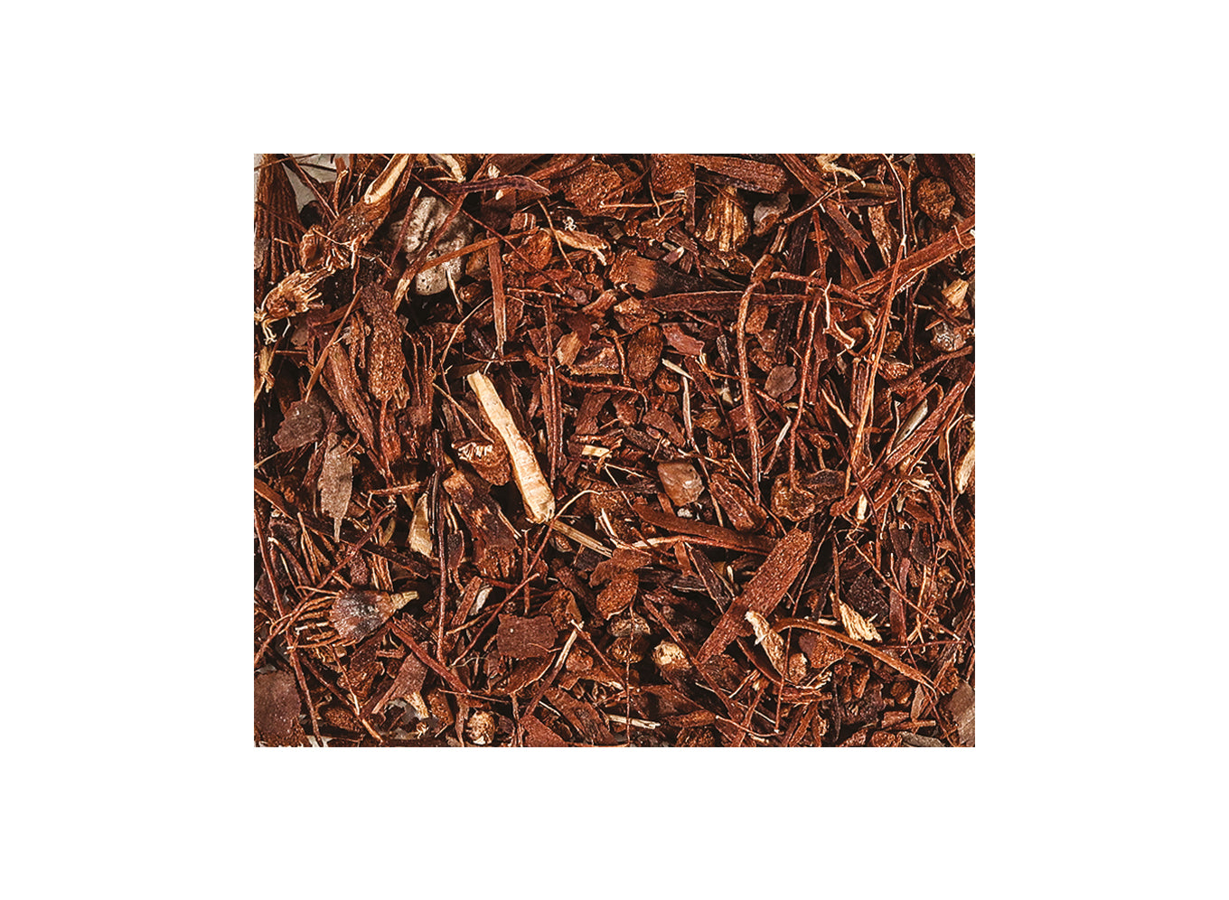 Woodland Ground Cover