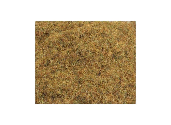 2 mm Frühlings-Alpengras