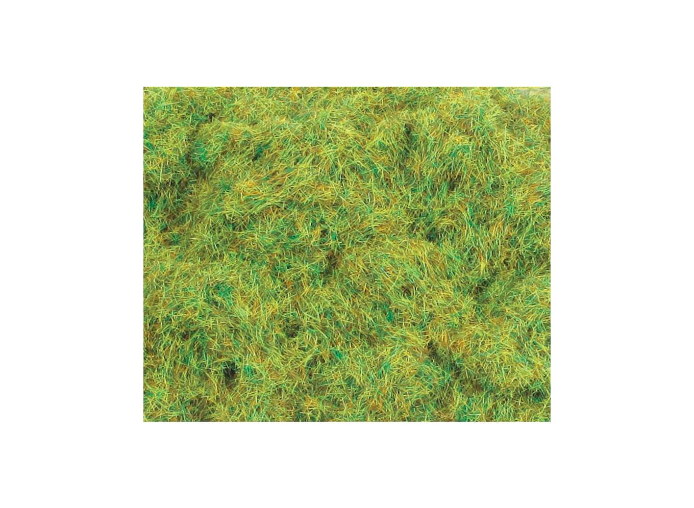 2mm Spring Grass