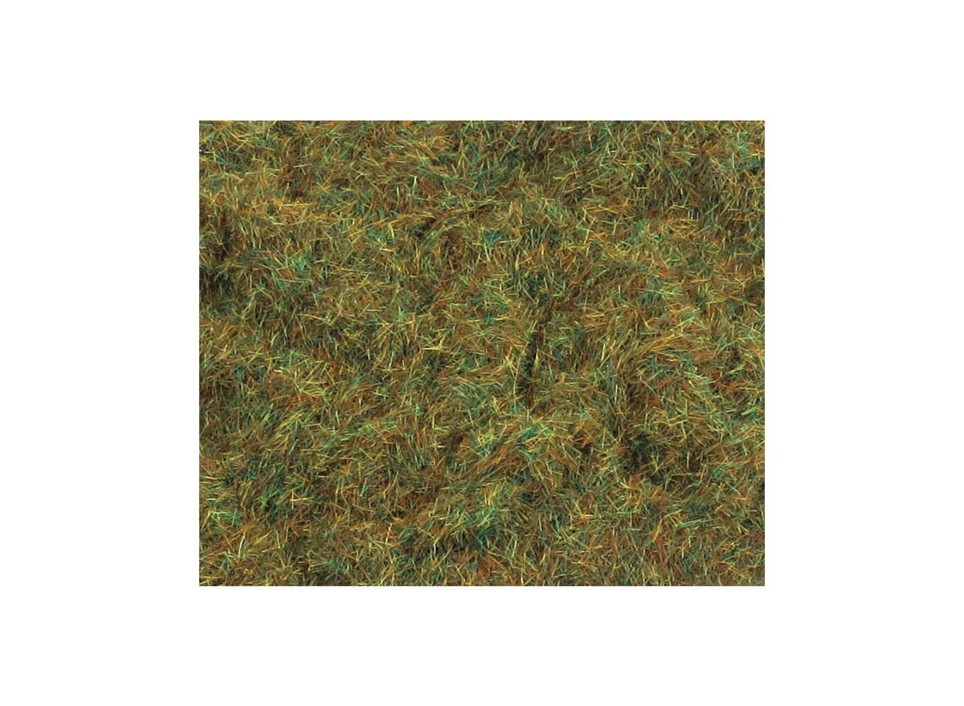 2mm Herbstgras
