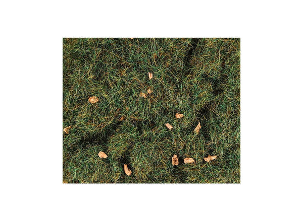 4 mm Sommer-Alpengras