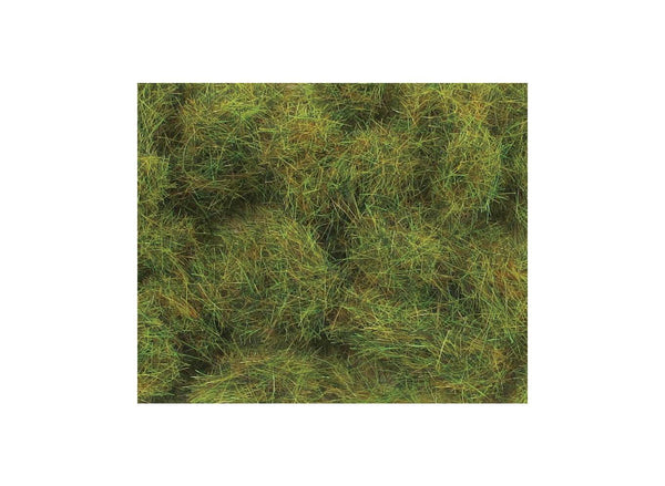6mm Summer Grass