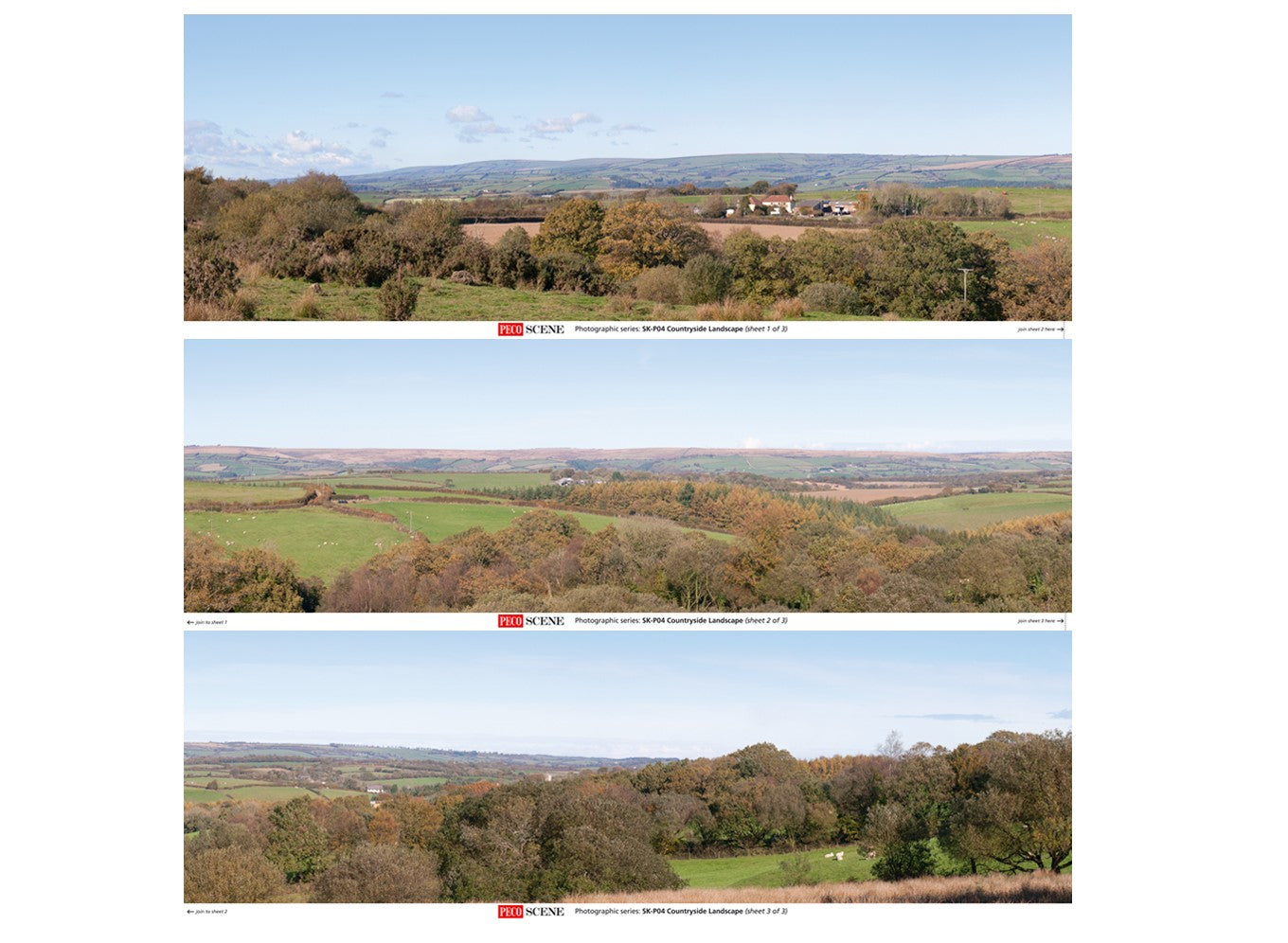 Countryside Photographic Backscene