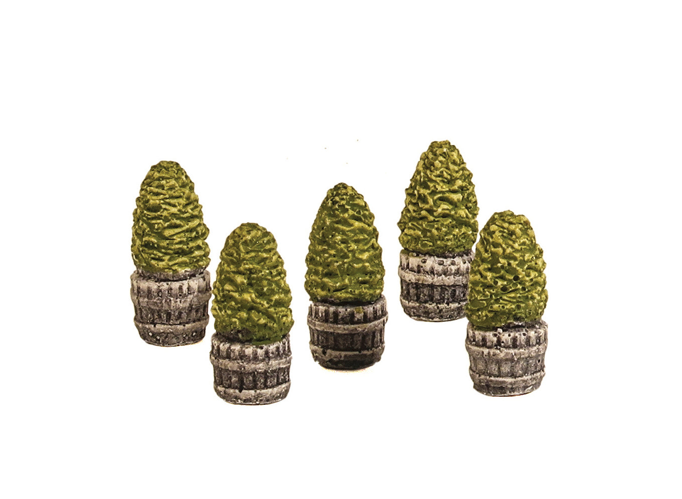 Five Small Trees in Half Barrels
