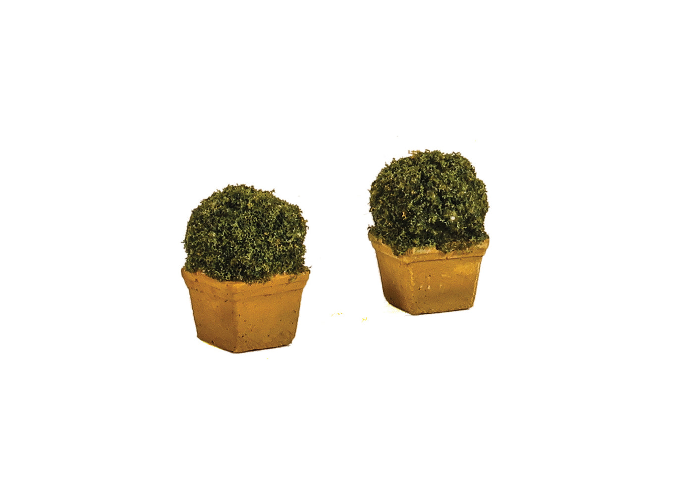 Bushy Shrubs