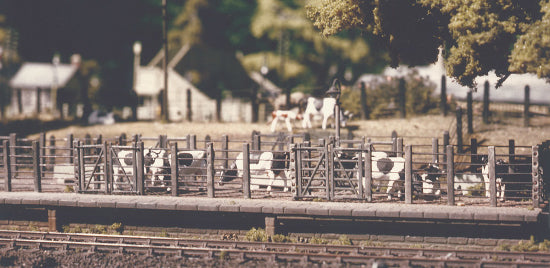 502 - RATIO - OO/HO - Cattle Dock
