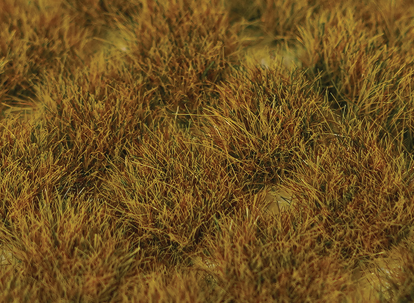 SGTWGR10 - WWScenics - 10mm Wild Grass Tufts x 100