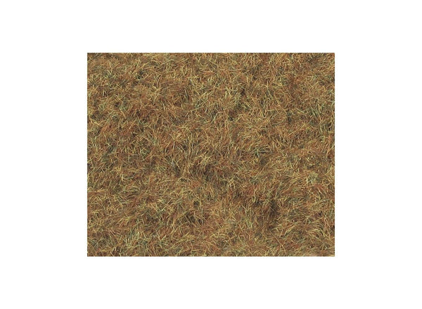 2mm Winter Grass