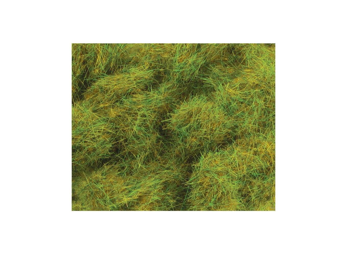 6mm Spring Grass
